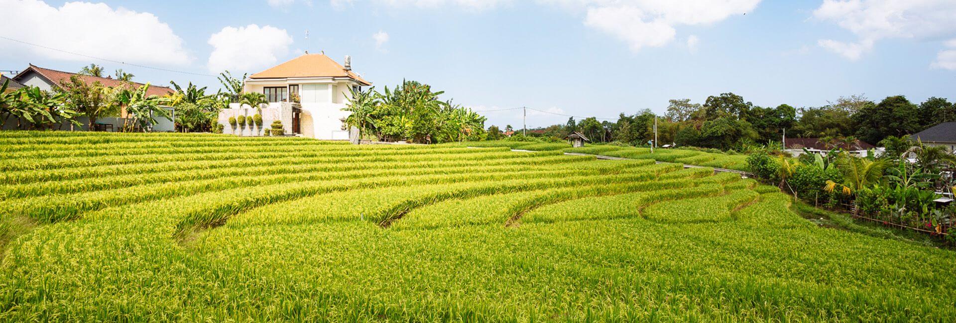 Villa Simona Oasis - Surrounded by paddy fields