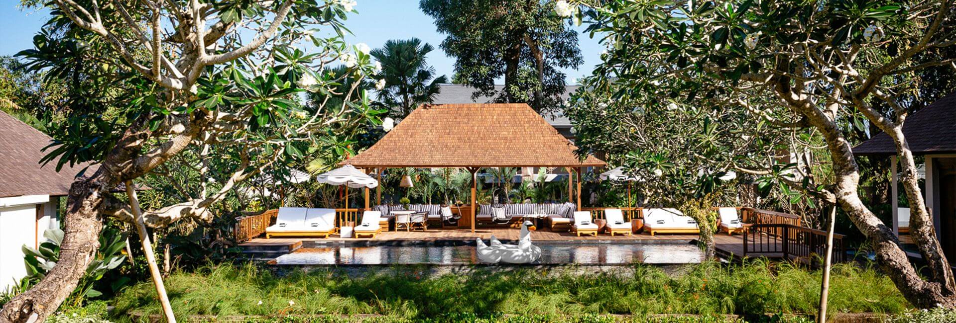 Villa Simona Oasis - View of the pool from upper lawn